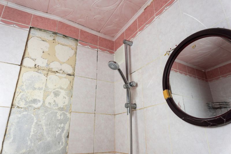 Top Shower Remodeling Companies in Port Richey, FL